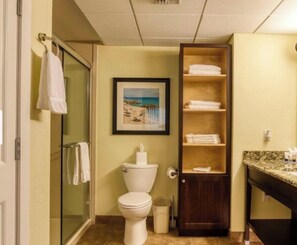Hair dryer, towels, soap, toilet paper