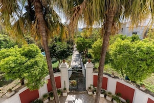 Un patio con un camino central, palmeras y una puerta.