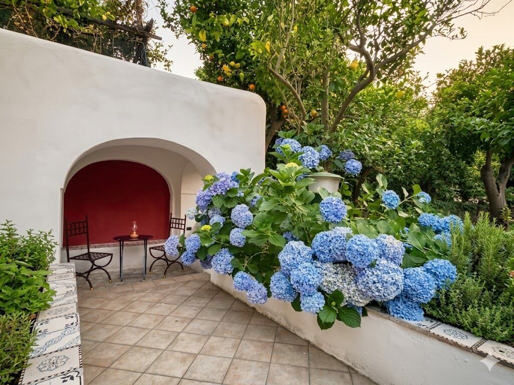 Terassi/patio