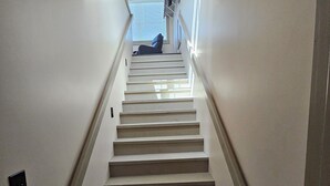 A staircase with a handrail, leading to a landing with a window.