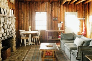 Smart TV, books, video library
