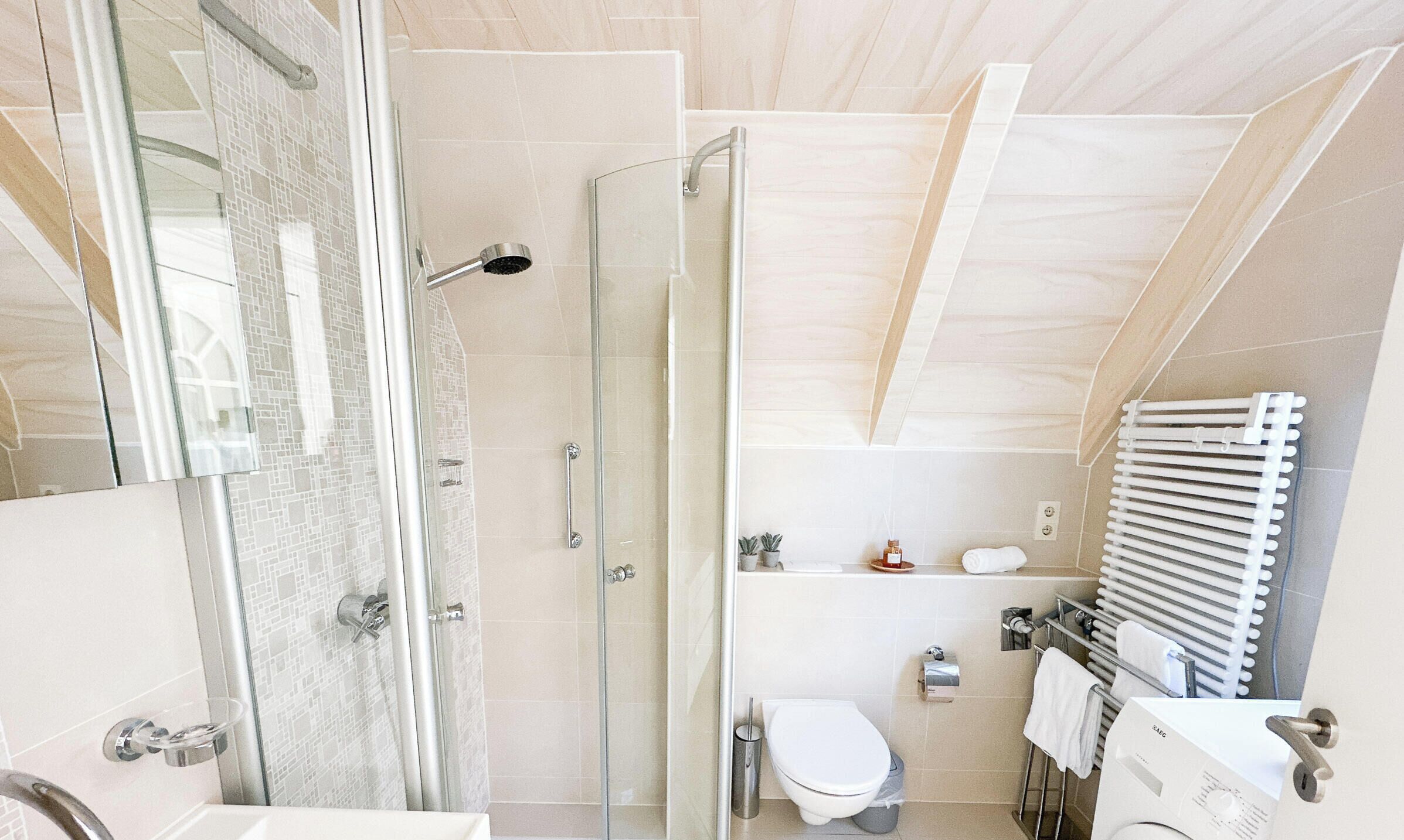Shower, hair dryer