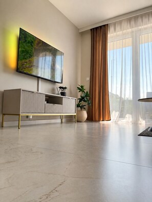 A modern living room with a flat-screen TV mounted on the wall, a minimalist console table, a potted plant, and large windows with sheer curtains.