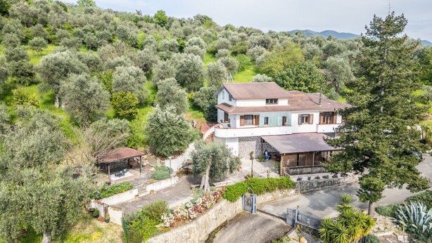 A two-story house with a tiled roof, surrounded by olive trees and a stone wall. - Da Donata - A Private Retreat Stay (Pertosa)