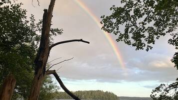 Eine natürliche Landschaft mit Regenbogen, einem Gewässer und Bäumen.