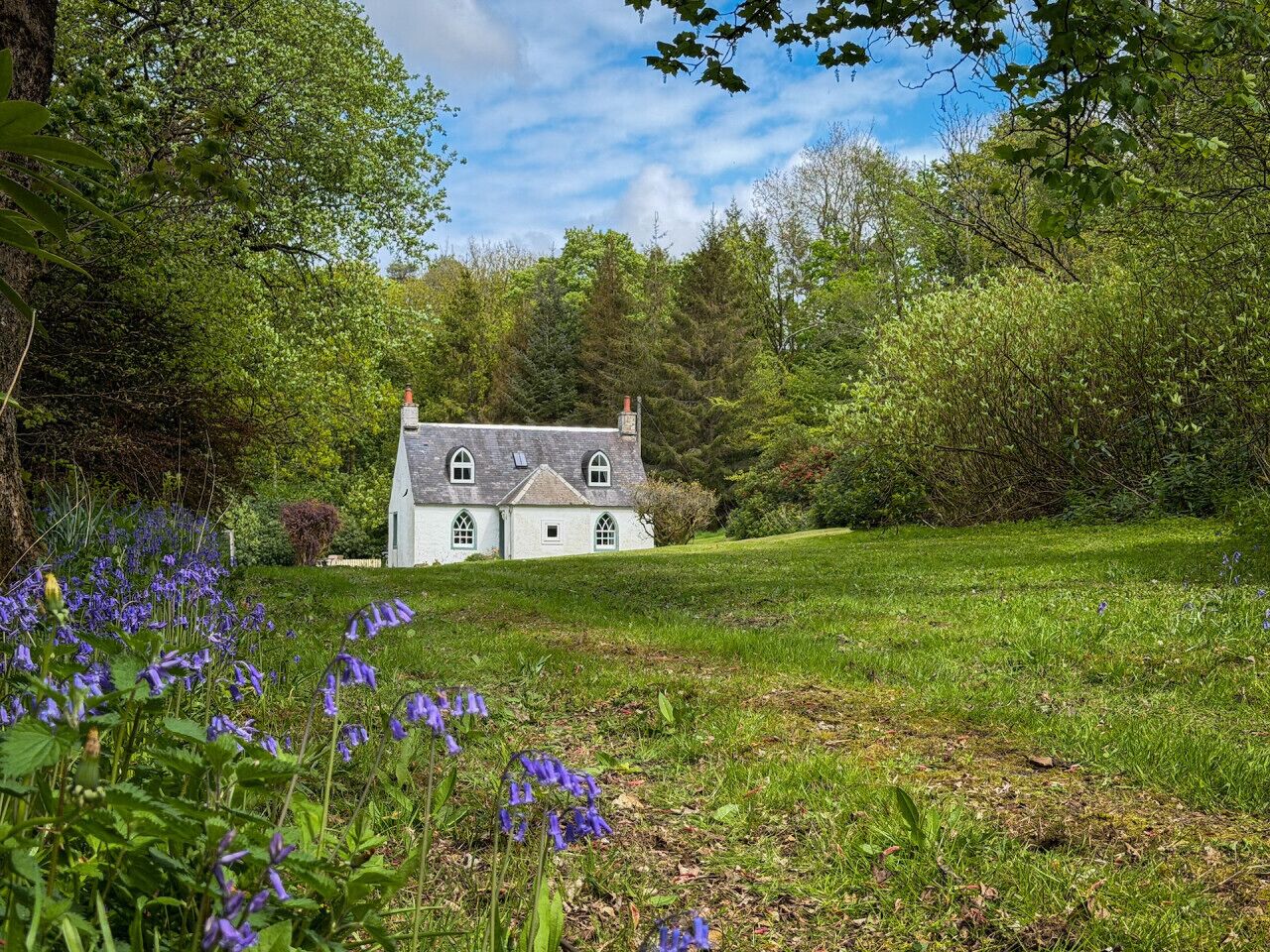 Een huis omringd door weelderige begroeiing en wilde bloemen.