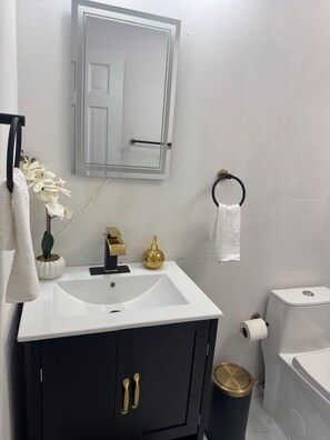 Hair dryer, towels, soap, toilet paper - Pool getaway 35 minutes from the parks (Orlando)