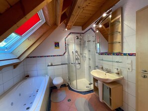 Shower, hair dryer, towels