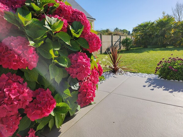 A garden with vibrant pink flowers, a concrete pathway, and a grassy lawn. - Detached house by the sea. Sample seafood on foot! (Le Tour-du-Parc)