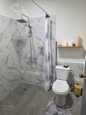 Shower, towels, soap, toilet paper