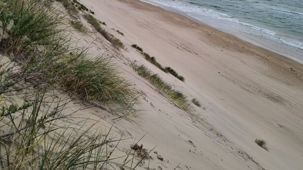 Strand