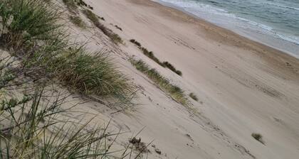 Jungle Beach House: Portrush,North Coast,Northern Ireland Holiday Let Nw200 Golf