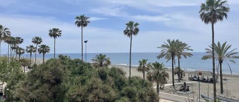 A beach view with palm trees, a playground, and parked cars.