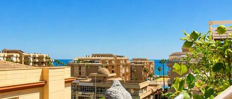 A coastal cityscape with buildings, a clear sky, and a statue.