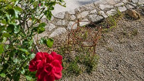 Un jardín con un sendero de hormigón, cactus y una estatua de cisne.
