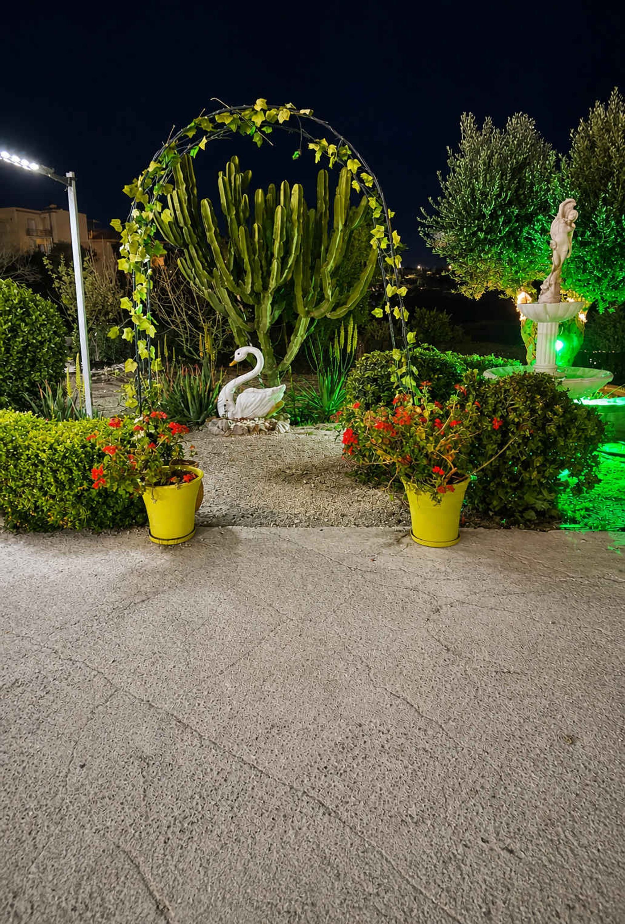 Een tuin in de avond met een cactustunnel, een zwaanbeeld en een fontein.