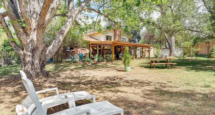 Eclectic Multi-level Charmer! 2 Mi to CU Boulder