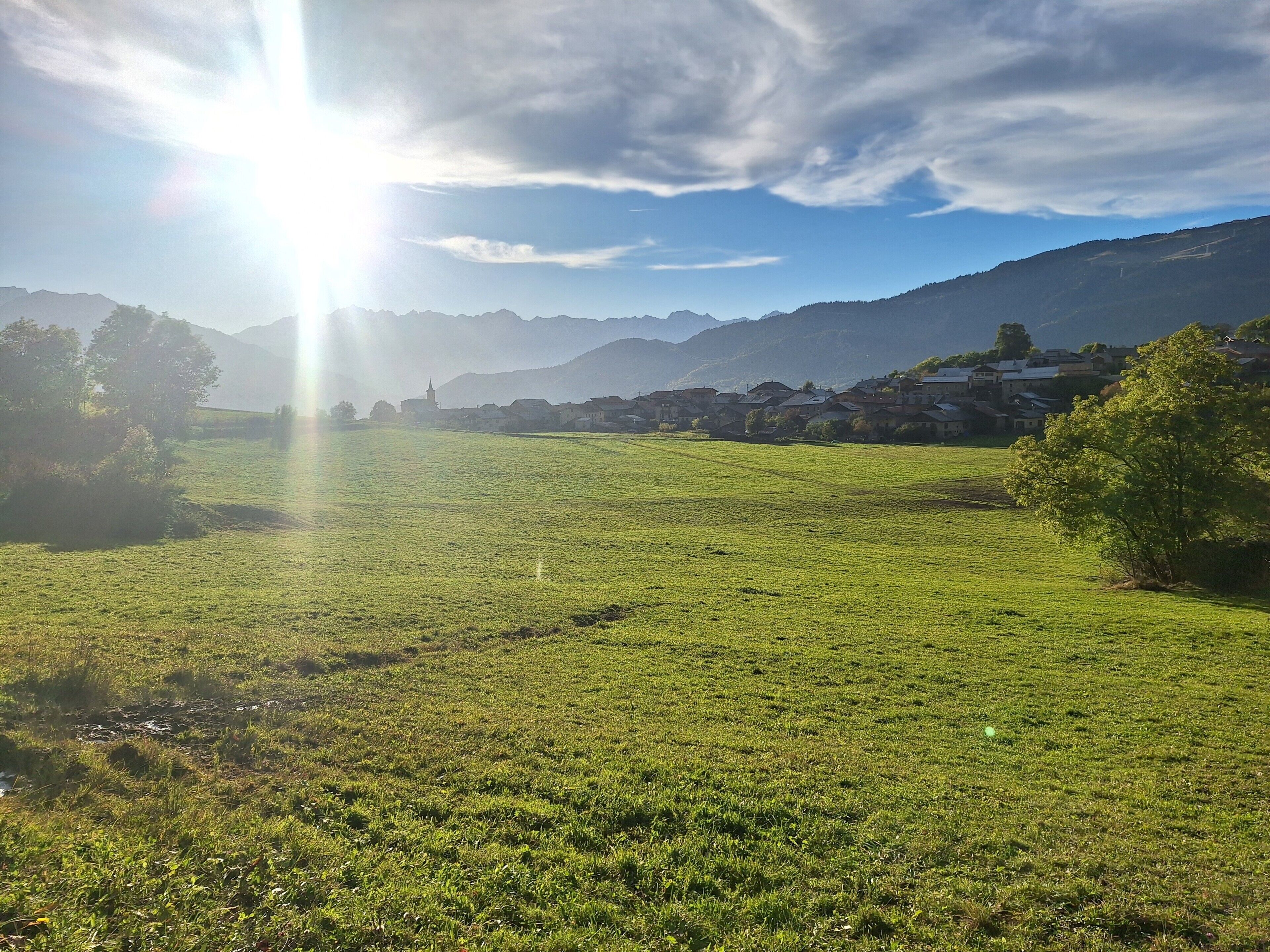 Een begroeiend veld met een heldere lucht en verre bergen.