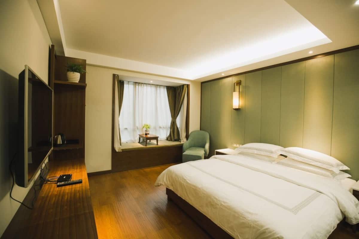 A hotel room with a bed, a TV, a window with curtains, a small table with a plant, and a chair.