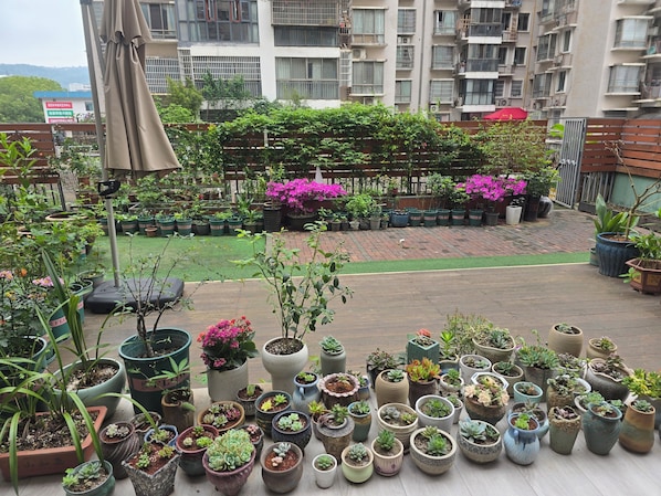 Terrace/patio - Rosie Lodge (Zhangjiajie)