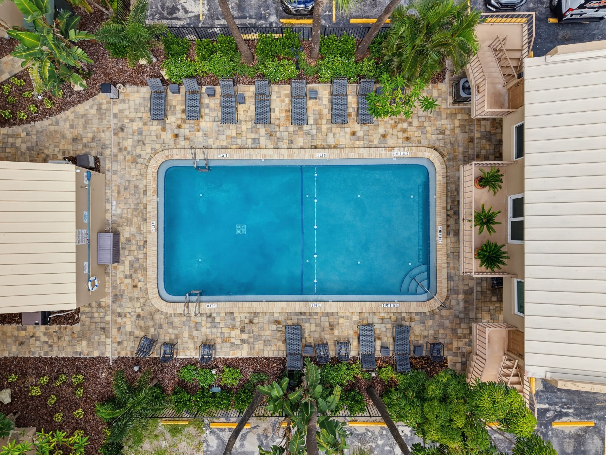 Una vista aerea di una piscina rettangolare circondata da lettini e piante in vaso.