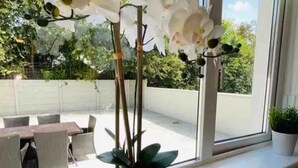 A potted orchid plant on a windowsill with a view of a patio area. - The Mis Kerry Escape (Castlemaine)
