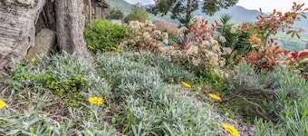 Da Donata - A Private Retreat Stay