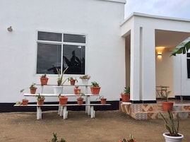 A building with a white exterior, a large window, and multiple potted plants arranged on white pedestals outside.