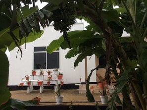 Terrace/patio - Saadani Pangani Campa && Tours (Mkata)