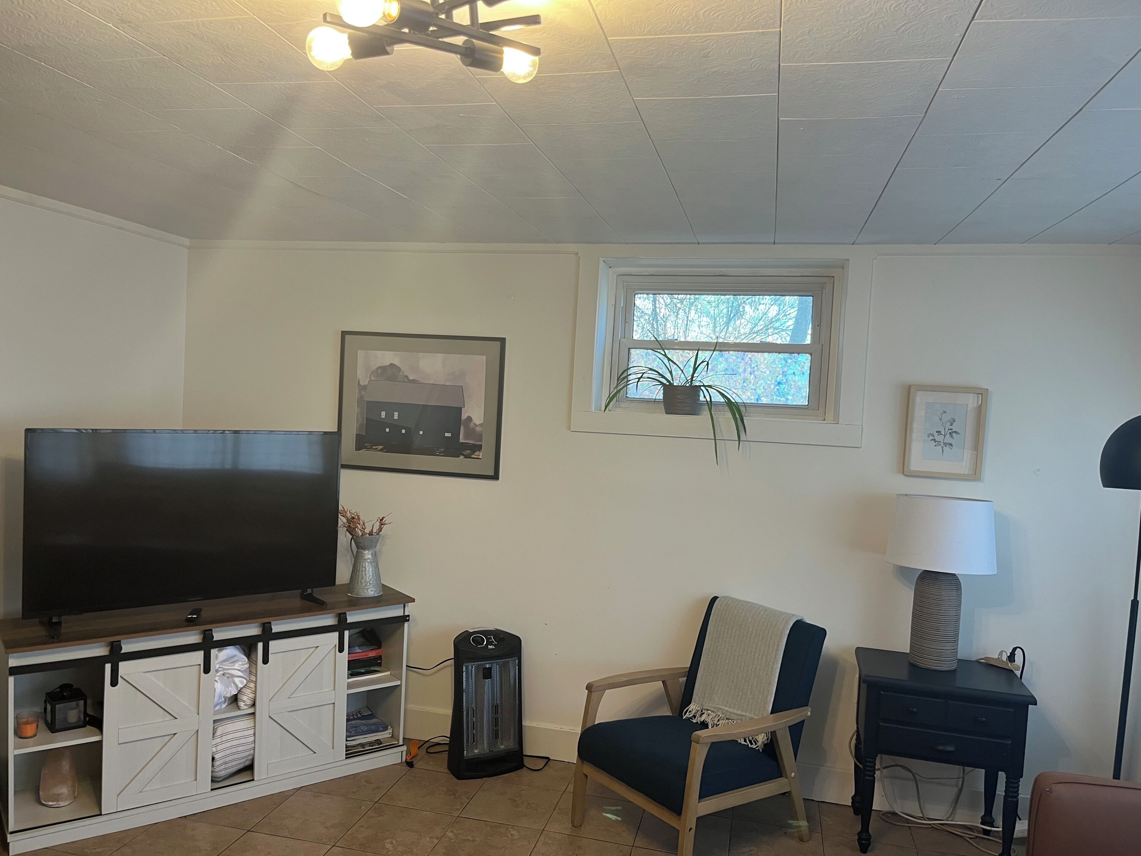 Una sala de estar con televisor, una silla, una lámpara, una planta en maceta y una ventana.