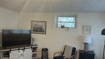 Una sala de estar con televisor, una silla, una lámpara, una planta en maceta y una ventana.
