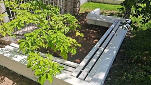 A garden with a white bench and a planter with green foliage. - Cozy 1-bedroom apartment in perfect Kingston with AC (Kingston)