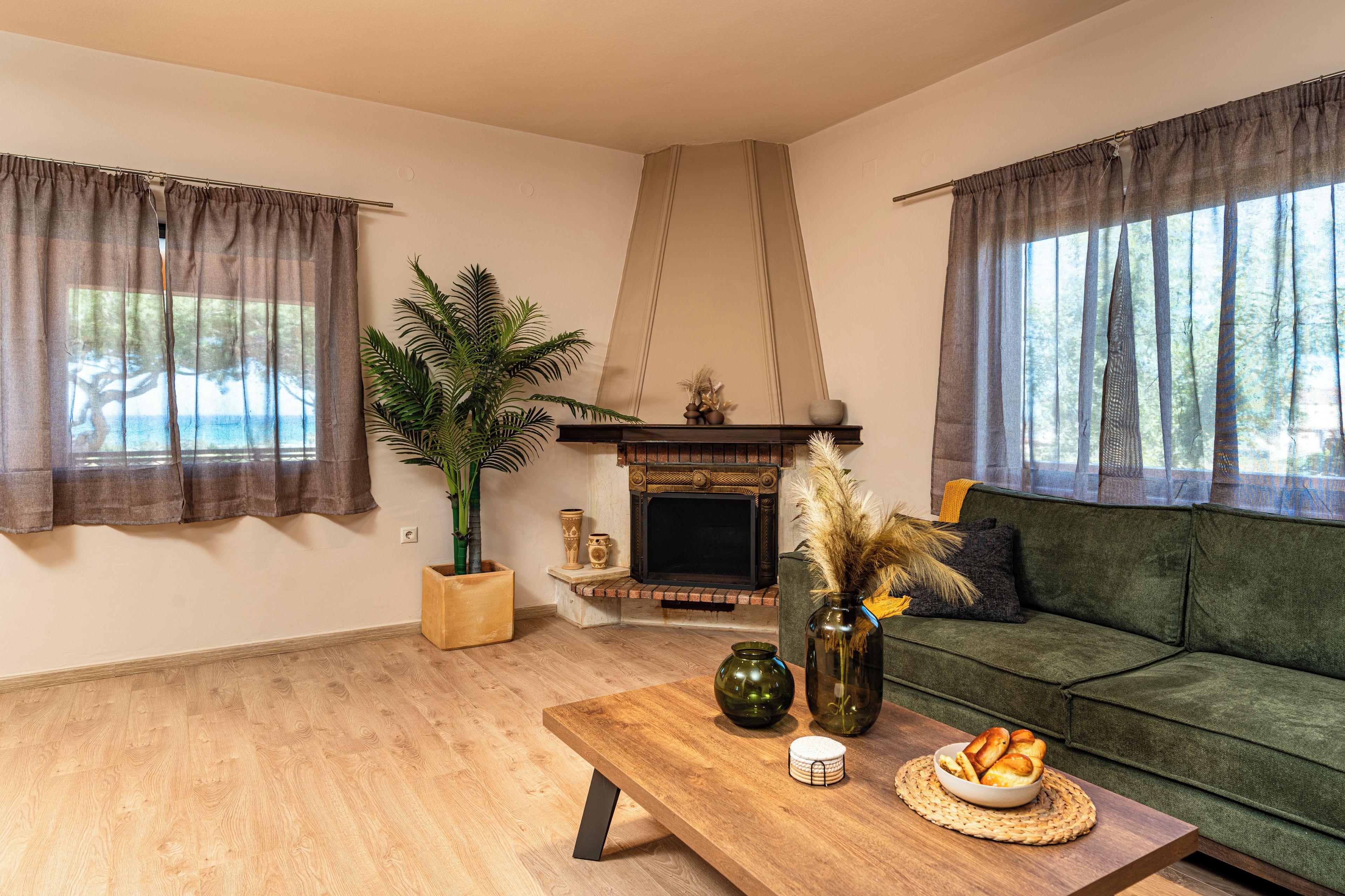 A living room with a fireplace, a sofa, a coffee table, and a plant.