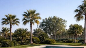 حمام سباحة