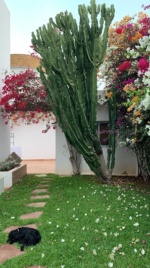 Unclassified image, 5 of 19, button - AGADIR. Villa with a private pool near golf courses and beaches (Agadir)