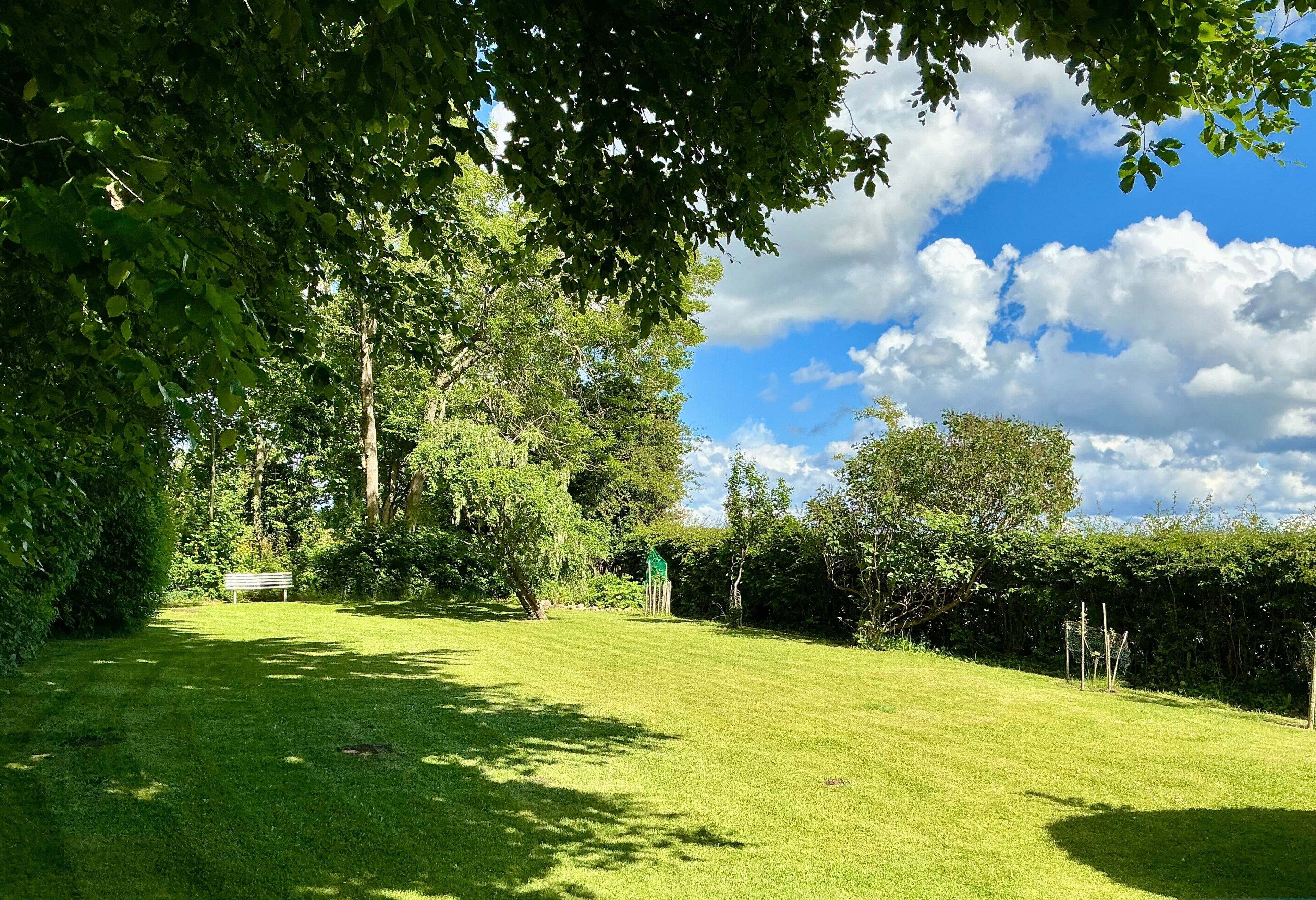 A grassy park area with a bench and trees.