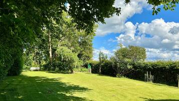 A grassy park area with a bench and trees.