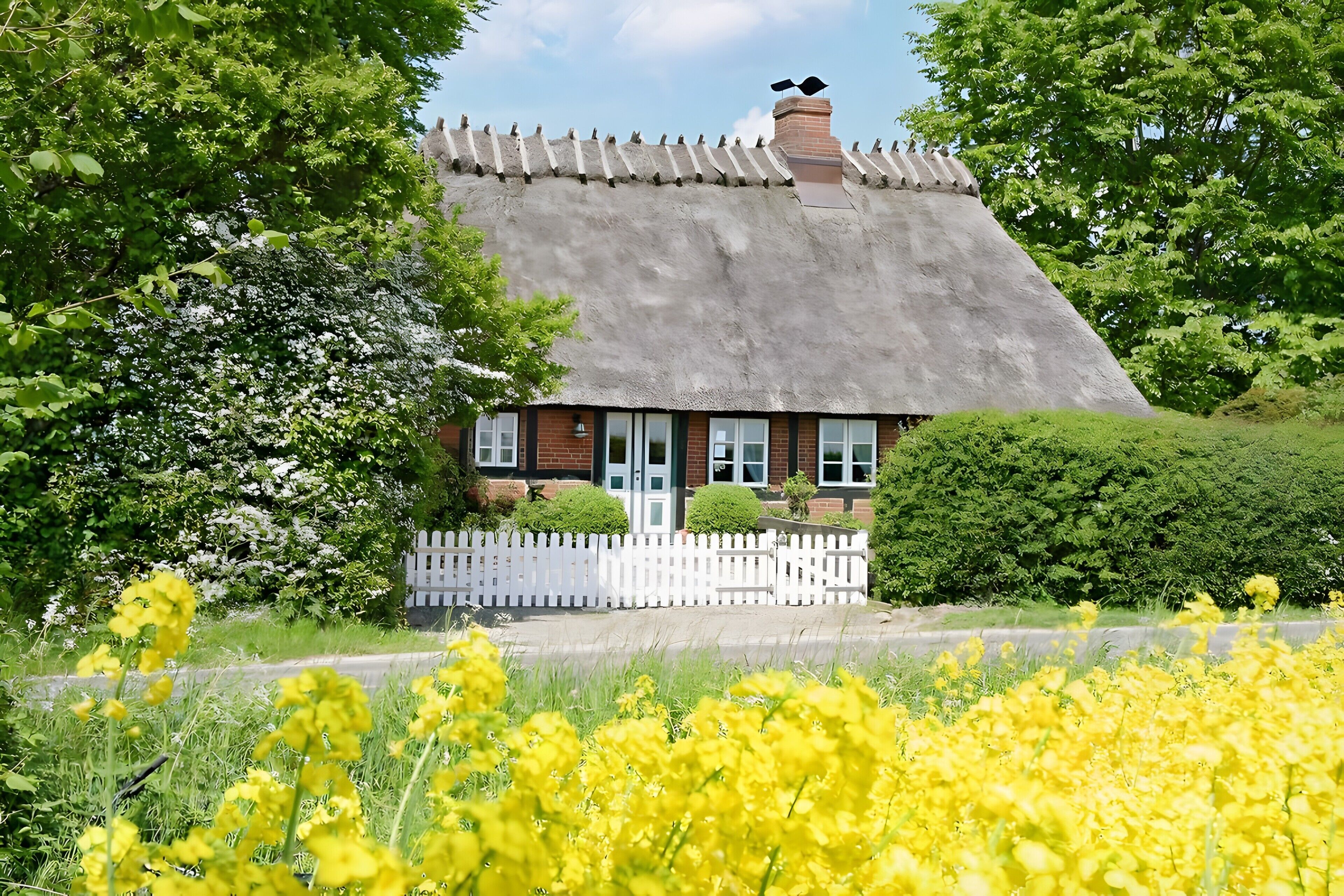 Udendørsområde