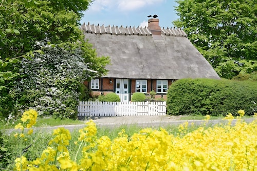 Ferienhaus für 5 Personen (90 m²) in Esgrus Hund erlaubt