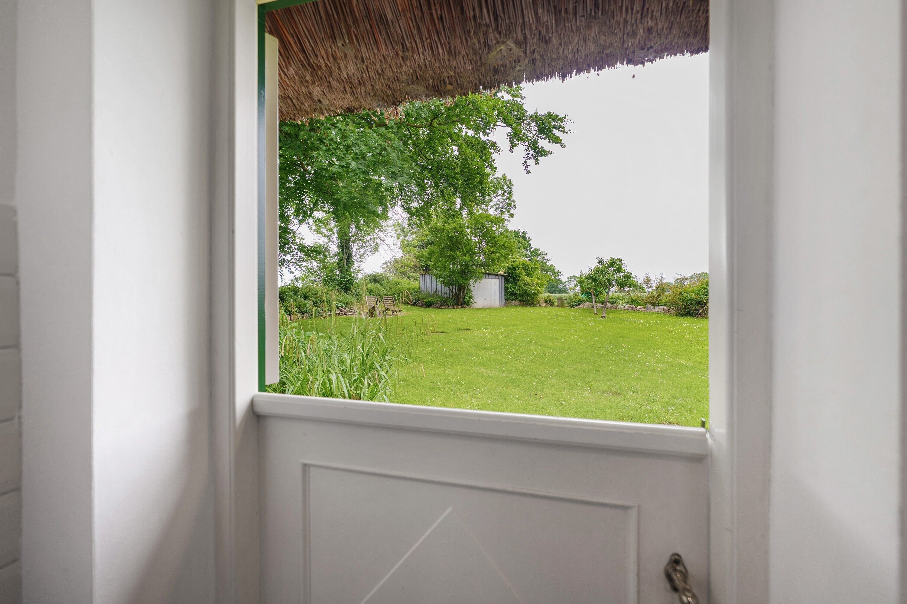 A door with a view of a grassy yard and a tree.