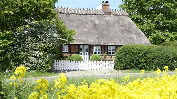 Exterior - Holiday Home for 5 Guests (90 m²) in Esgrus – Dog Allowed (Esgrus)