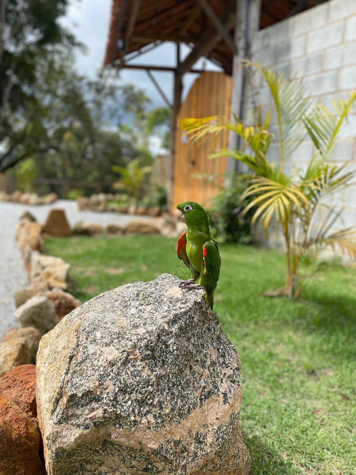 Un oiseau était perché sur un rocher.