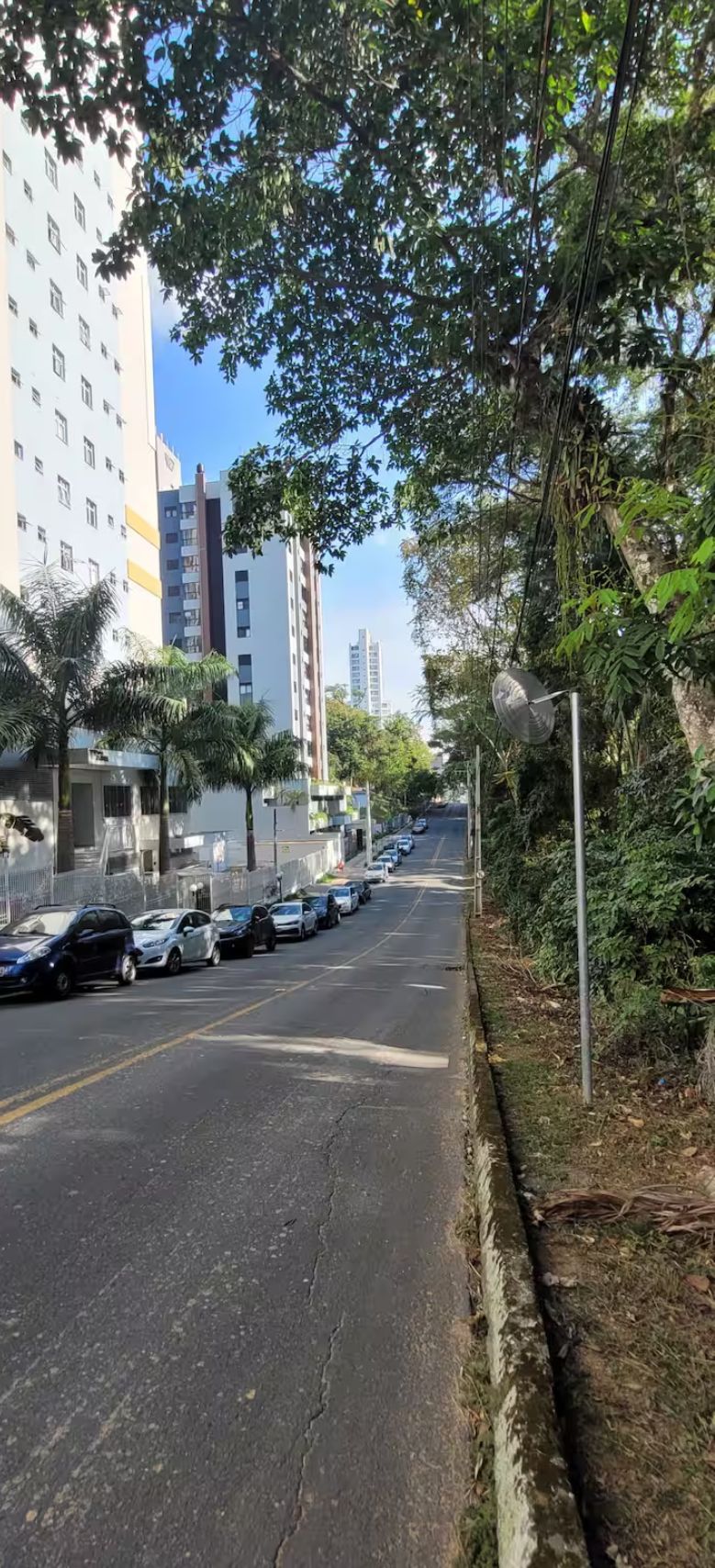 A street lined with parked cars, tall buildings, and trees.