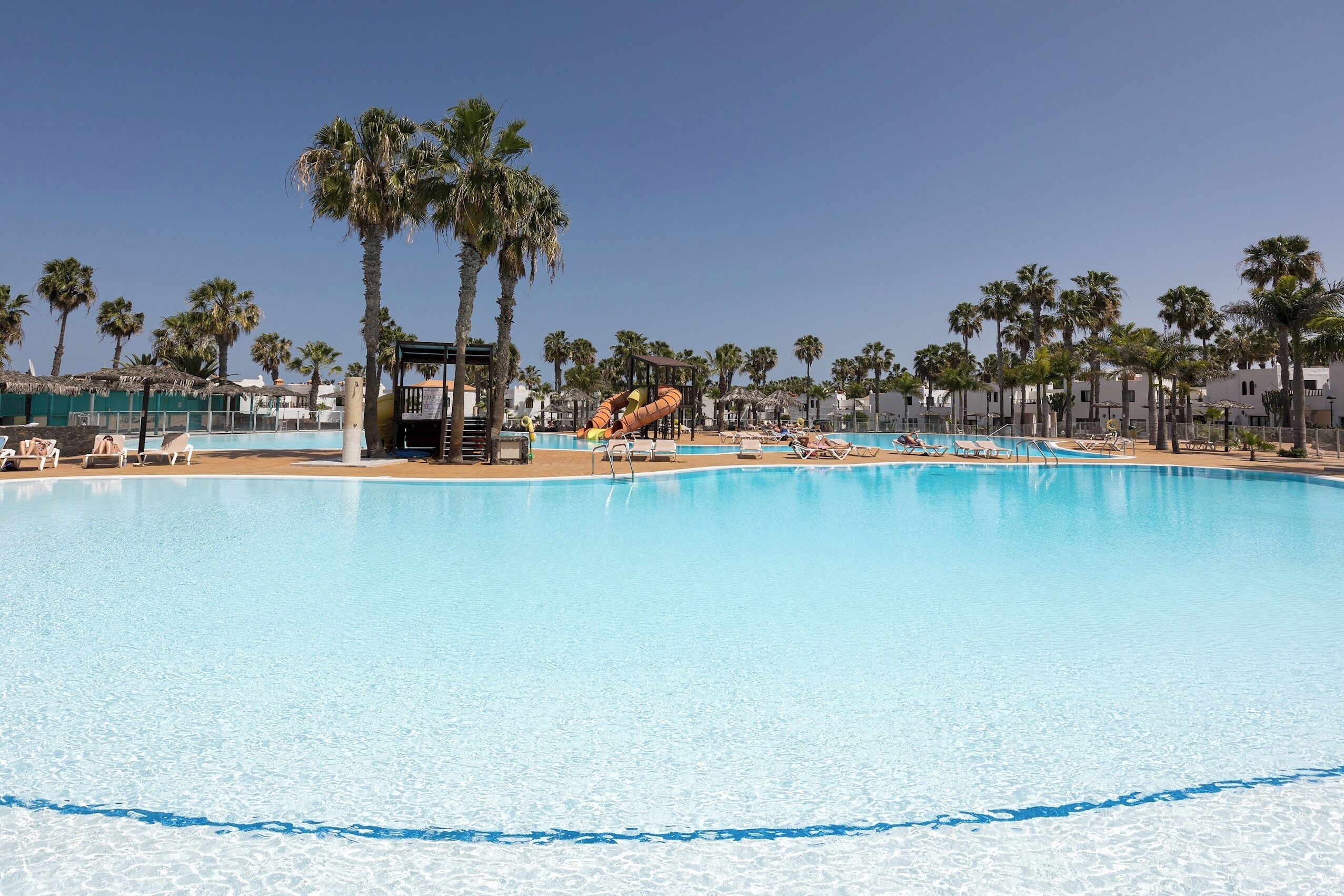Una piscina grande rodeada de palmeras y sillas de descanso.