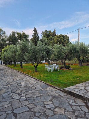 Outdoor dining - GeoBasement - Village (Pefkochori)