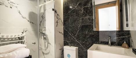 Shower, hair dryer, bidet, towels