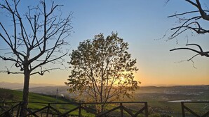 Ländliche Landschaft mit einem Baum im Vordergrund, einem Zaun und einer entfernten Ansicht einer Stadt.