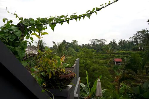 Sunset Boutique Apartments 1 - Cozy 1BR with AC in Tegallalang