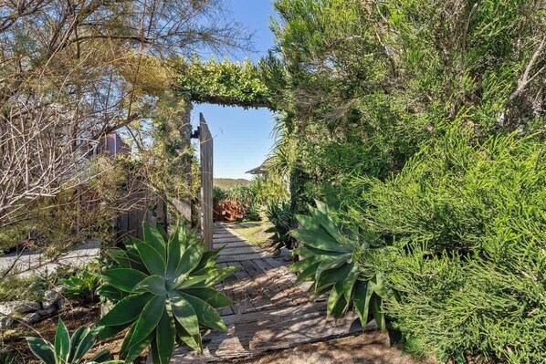 A wooden pathway leading through a garden with various plants and a wooden structure.