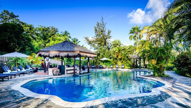 A swimming pool with a thatched-roof gazebo, lounge chairs, and tropical vegetation. - East Winds Inn (Gros Islet)